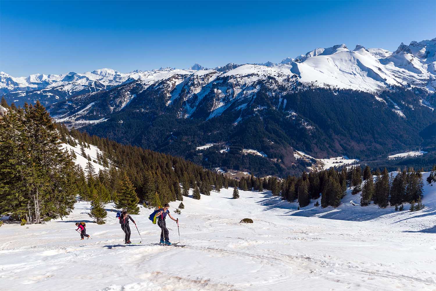 journée ski de randonnée encadrée par un guide/moniteur